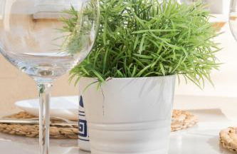 Family Beach Malibú II - Photo 37