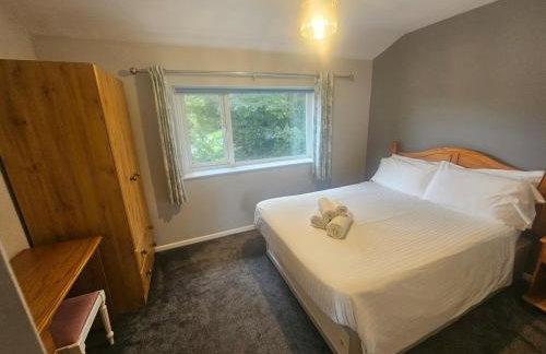 Newquay Coast and Cabin - Foto 31