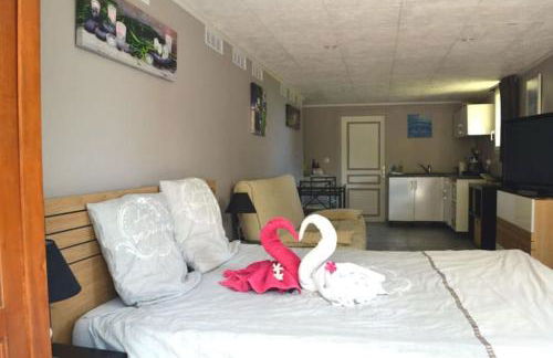 Villa Grasse vue mer exceptionnelle 8P piscine intérieure - Foto 29