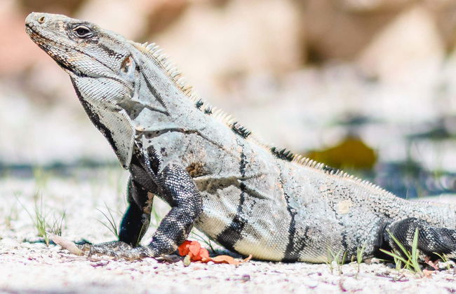 Tour di 2 giorni al centro Wotoch Aayin - Foto 1
