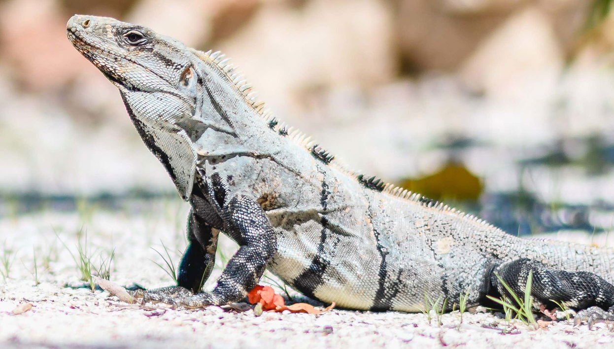 Tour de 2 días por el centro Wotoch Aayin