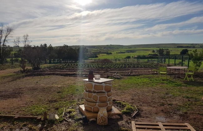 Maison la Branche d Oiseaux - Photo 9