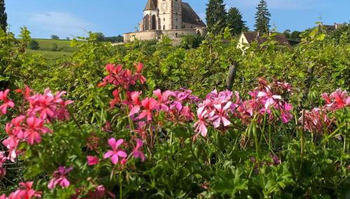 Gîtes Sipp Mack Vins d'Alsace - Foto 1