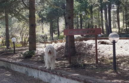 Le Conifere - Foto 6