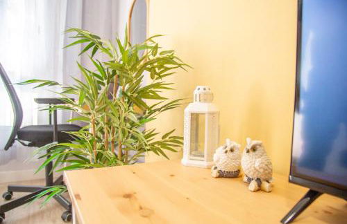 Sunflower Apartment Céntrico - Foto 12