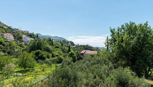 Apartmani Tabain I - Foto 5, Garden, Garden view