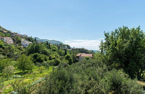 Apartmani Tabain I - Foto 5