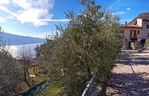 Ulivi sul Garda Garden by Gardadomusmea - Photo 20