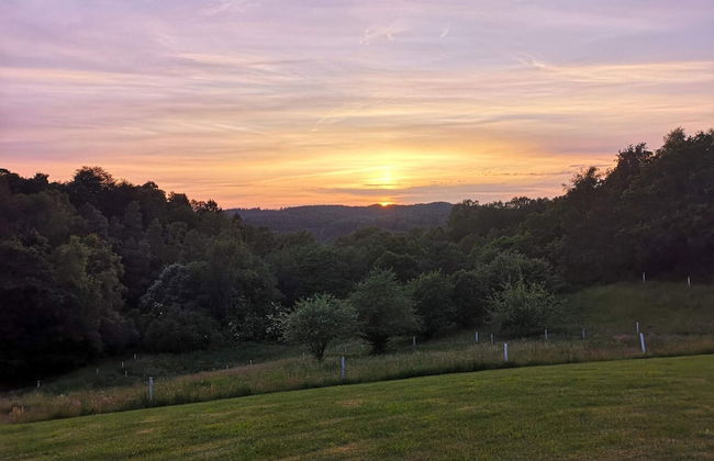 8 Person Holiday Home in Gjern-by Traum - Foto 26