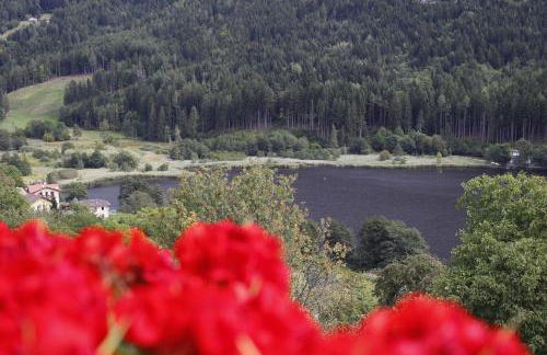 Appartamento Dossalt Vista Lago - Foto 9