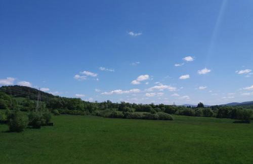 Blisko Lasu - Foto 59