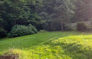 Chata pod lasem z balią i sauną - Foto 30