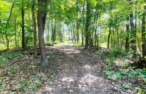 Game Room6mi to parksGroup GetawayGives Back! - Foto 38