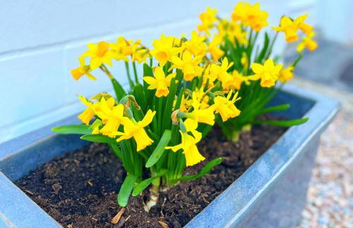 Familienfreundliches Ferienhaus in 5 min zum Strand mit Terrasse und kostenlosem Parkplatz - Photo 4