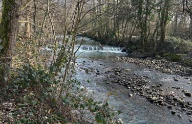 Greenways at Coed Cae Farm - Photo 67