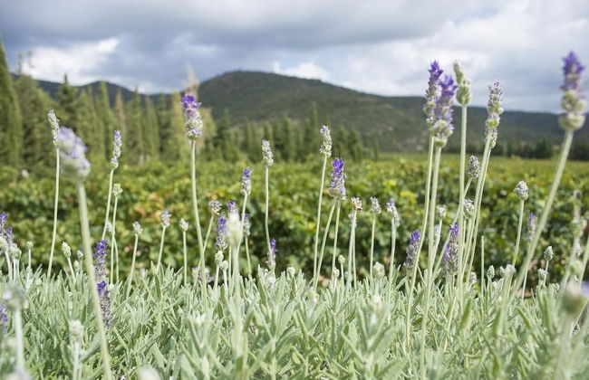 El Recer de Masia Serra - Adults Only - Foto 26