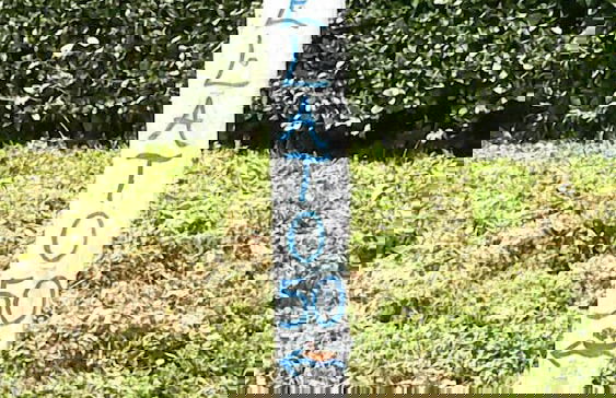 Agriturismo La Barca nel Bosco - Foto 22