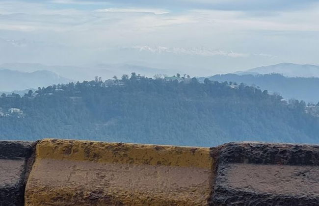 VivaPines - Photo 13