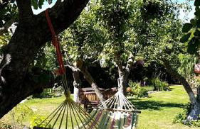 Hering FeWo I Apartment Terrace - Foto 28