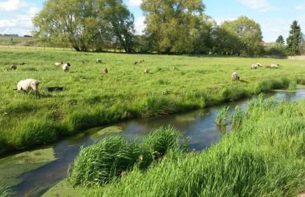 Ferienwohnung Wassergasse - Foto 11