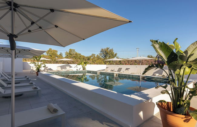 Estúdios Salinas - Foto 17