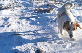 Aldeia de Moura Morta - Foto 30