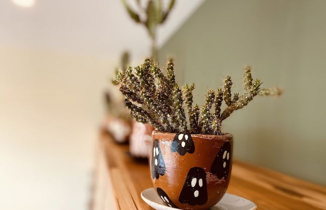 Wild Cottages Luxury and Natural - Adults Only - Foto 79