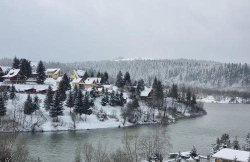 Dom Słońce PRYWATNE JACUZZI ELEKTRYCZNE W CENIE, Jezioro Solińskie, Dom na Wzgórzu SŁOŃCE, rowery, sauna - Foto 65