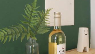 Große Gruppen und Familien aufgepasst! - Münster! - Foto 2