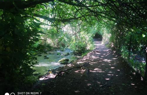 Alojamientos Sierra de Cádiz Benamahoma - Foto 52