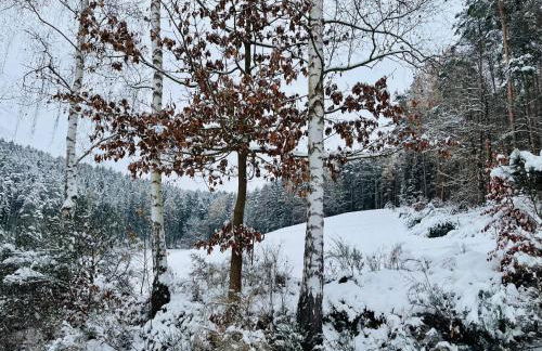 Entspannung im Wald - mit Schwimmbad - Foto 30
