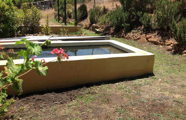 Swaynekloof Farm - Photo 35