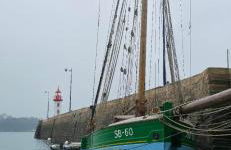 Appartement ERQUY Bretagne vue mer exceptionnelle sur les hauts d'Erquy au calme ! 900 m du centre ville et au pied du GR34 - Foto 36