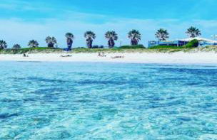 Windsurf Beach Front - Photo 32