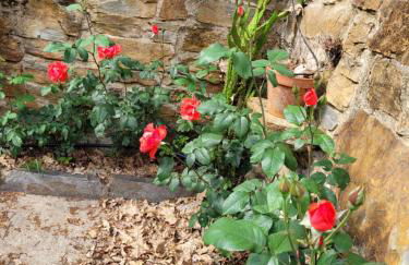 CHALÉ, Pedra, Isolada, Natureza, Rio - Ecoturismo - Foto 21