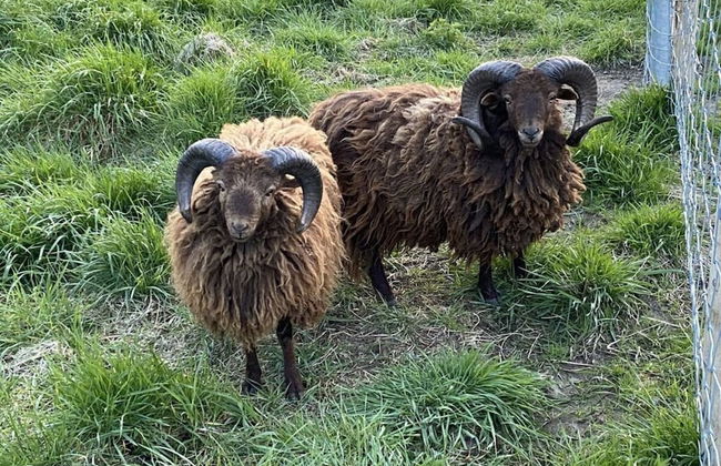 Welcoming Apartment Near Lake - Photo 28