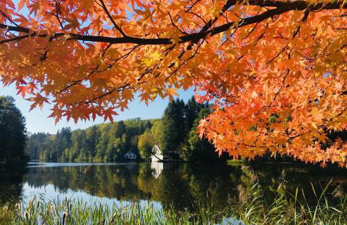 L’Atelier de Gustave - Foto 52