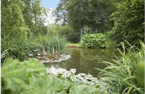 Ebony Cottage - Foto 13