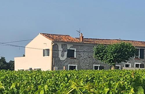 Le mas d'Harry - Foto 15