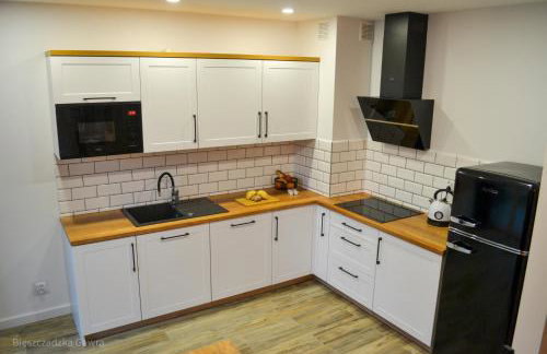 Apartament całoroczny Bieszczadzka Gawra - Foto 18