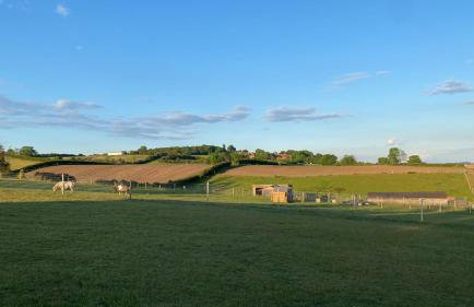 King Richard's Luxury Lodge - Sleeps up to 8, Dog Friendly, Near Sherwood Forest at Fairview Farm in Nottingham set in 88 acres and great for Groups, Family Gatherings & Corporate events - Foto 44