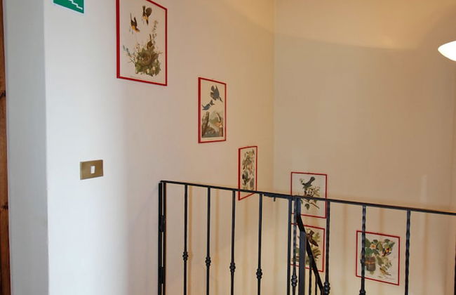 Trebbiolo - Photo 29