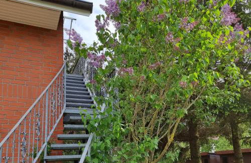 Ferienwohnung Tannenblick-MV - Foto 1