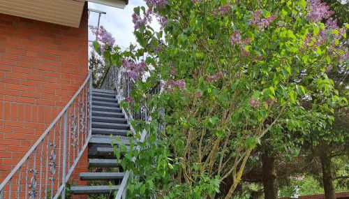 Ferienwohnung Tannenblick-MV - Foto 1, Garden, Garden view