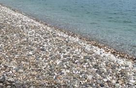 Downtown San Lorenzo - Foto 56