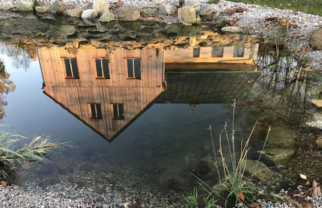 Korenov Lpm010 in Korenov - Foto 46