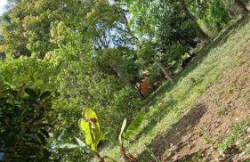 Sítio Aconchegante Familiar - Photo 40