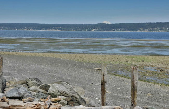 The Lookout at Crane's Landing by Avantstay - Foto 40