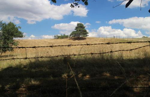 Gîte de Charme pour 6 pers, Jardin & Étang privé - FR-1-496-157 - Foto 31