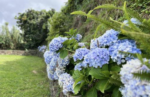 Seaview Villa with Heated Private Pool - Photo 27